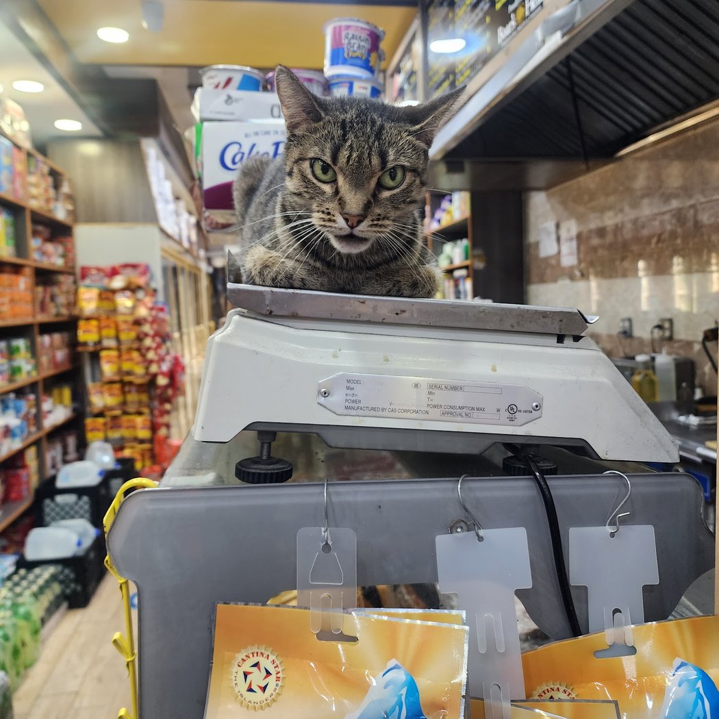 324 Brighton Beach Grocery 1