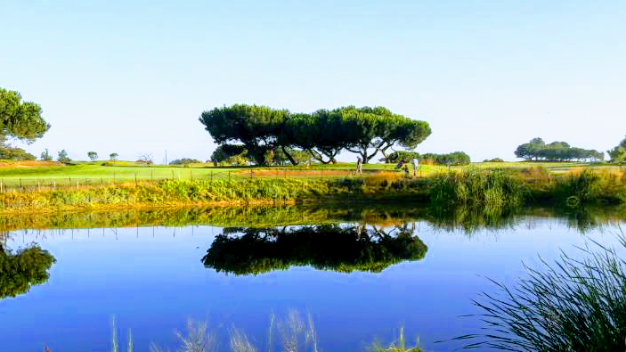 Shoreline Golf Links 2