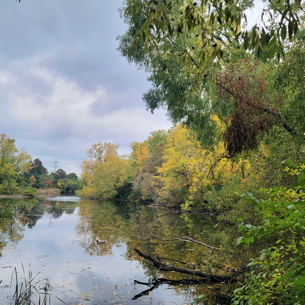 Des Plaines River Canoe Trip 2