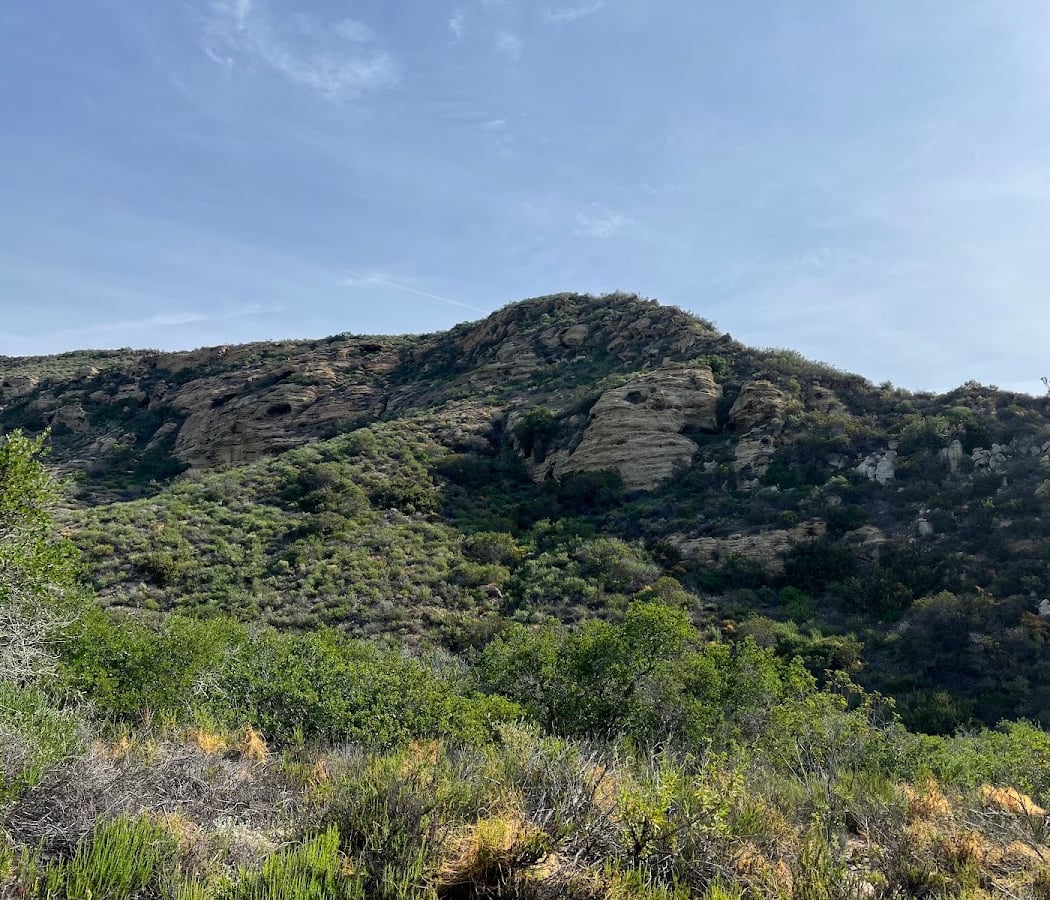 Explorers Hike: Laurel Canyon Loop 3