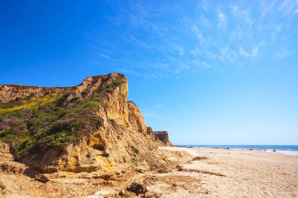 San Gregorio State Beach 2