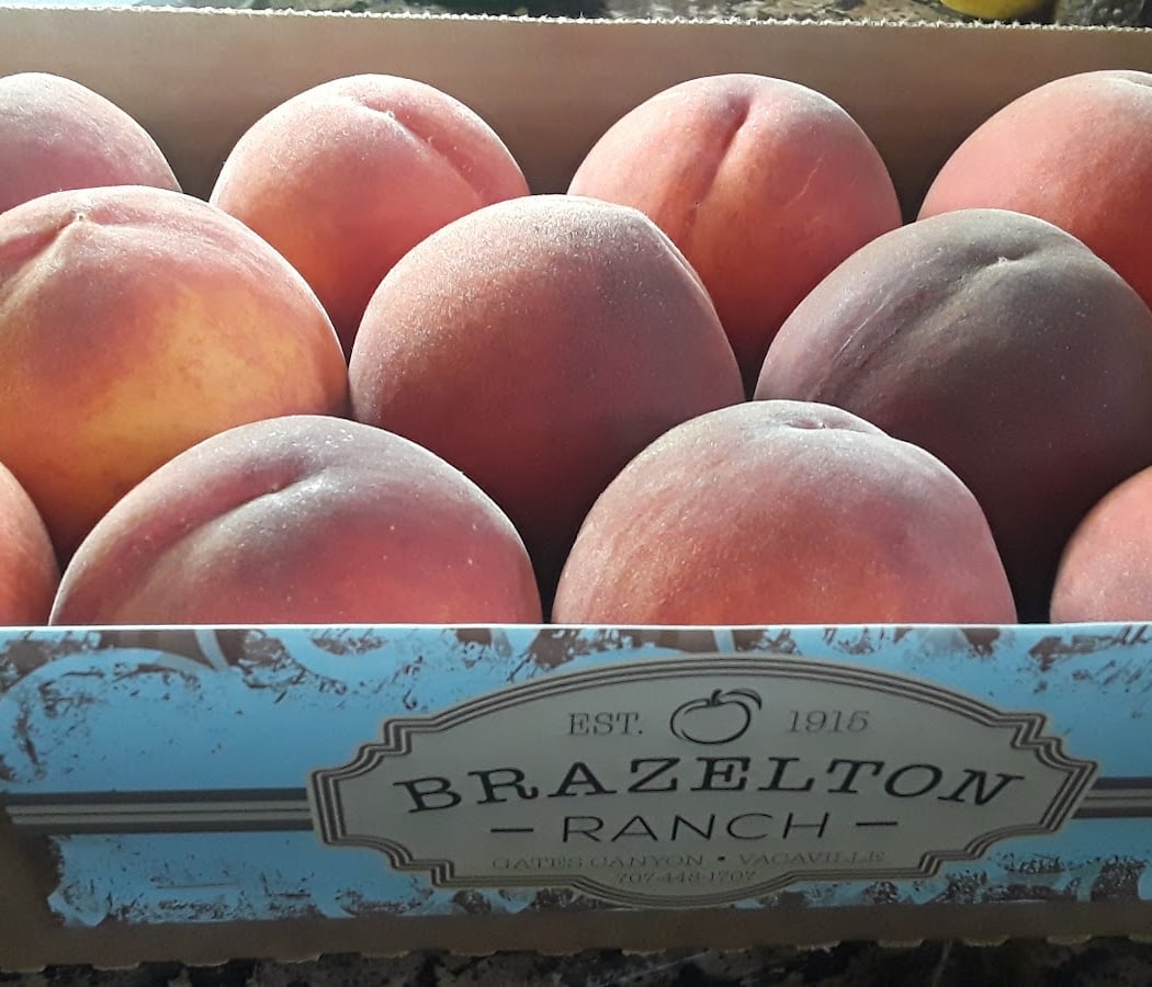 Satsuma Mandarins at Brazelton Ranch 2