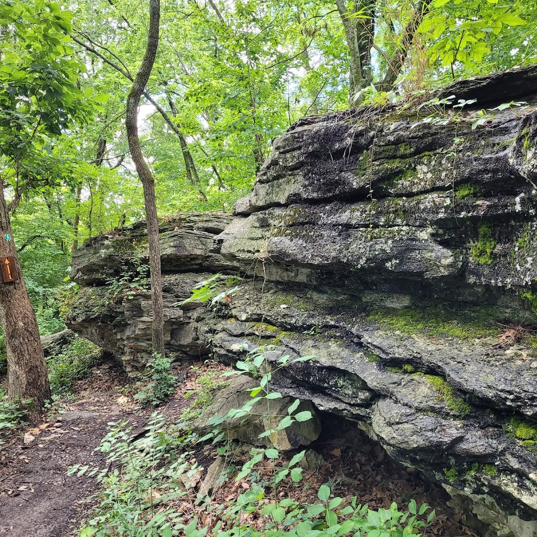 Hike with a Naturalist 3
