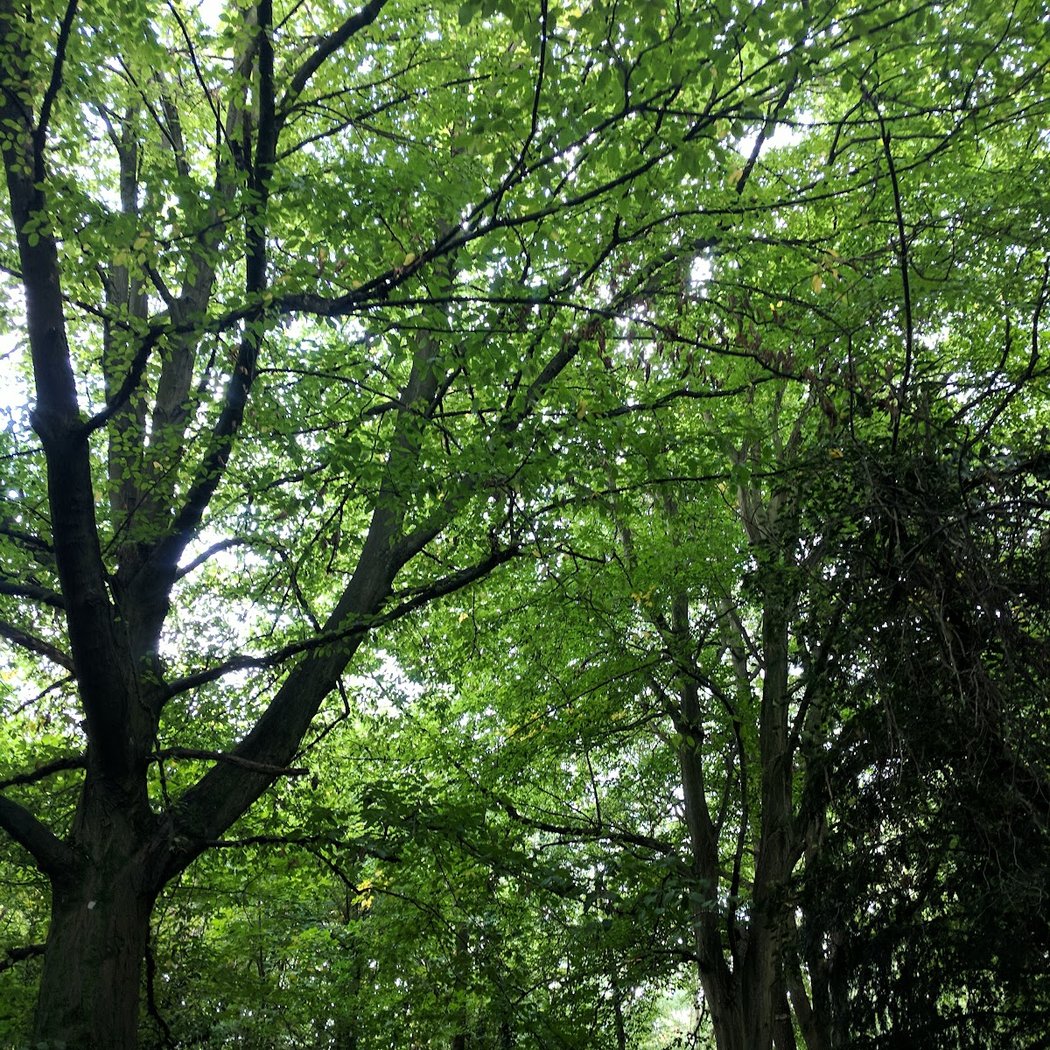 Dollis Valley Greenwalk 3