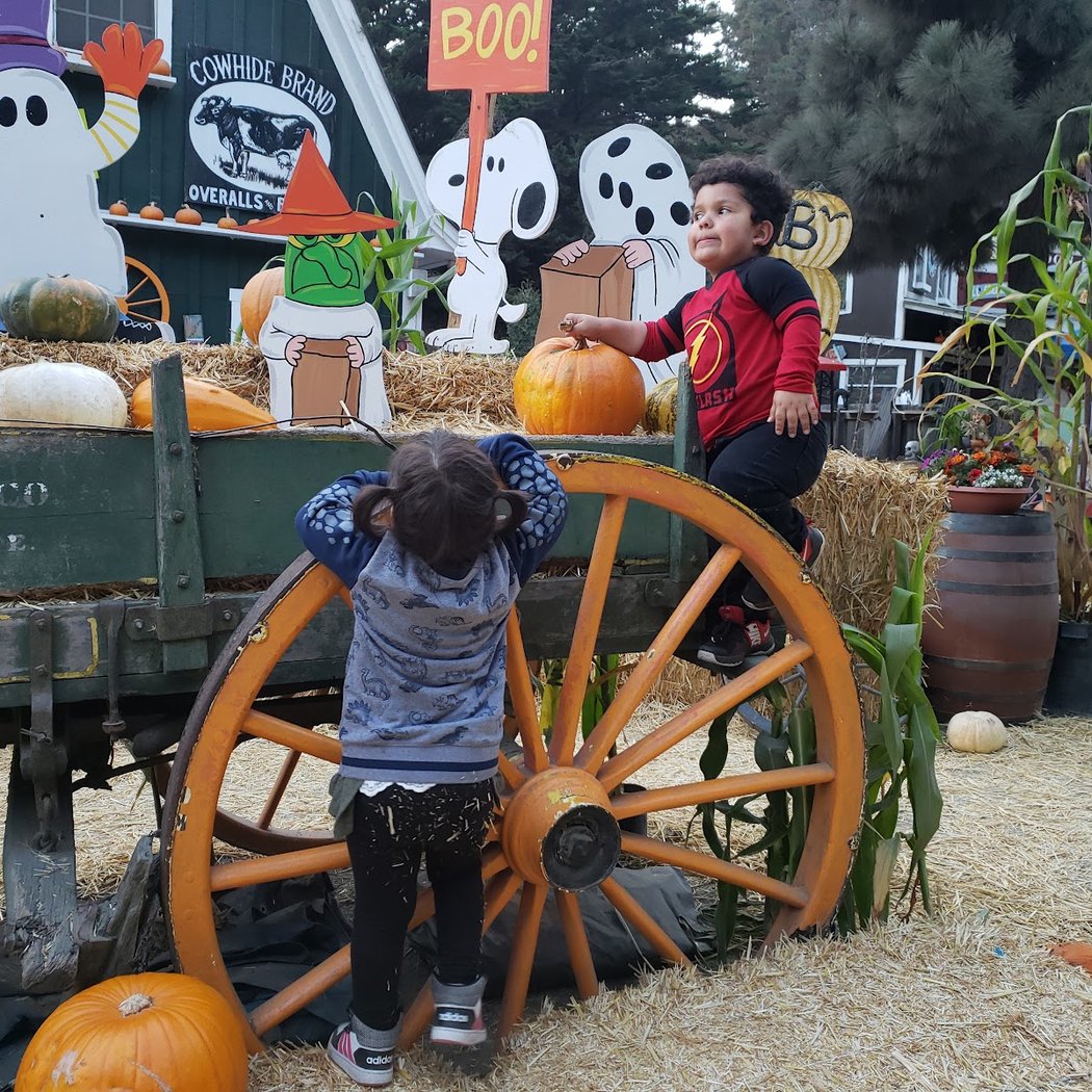 Fall Family Fun at Lemos Farm 1