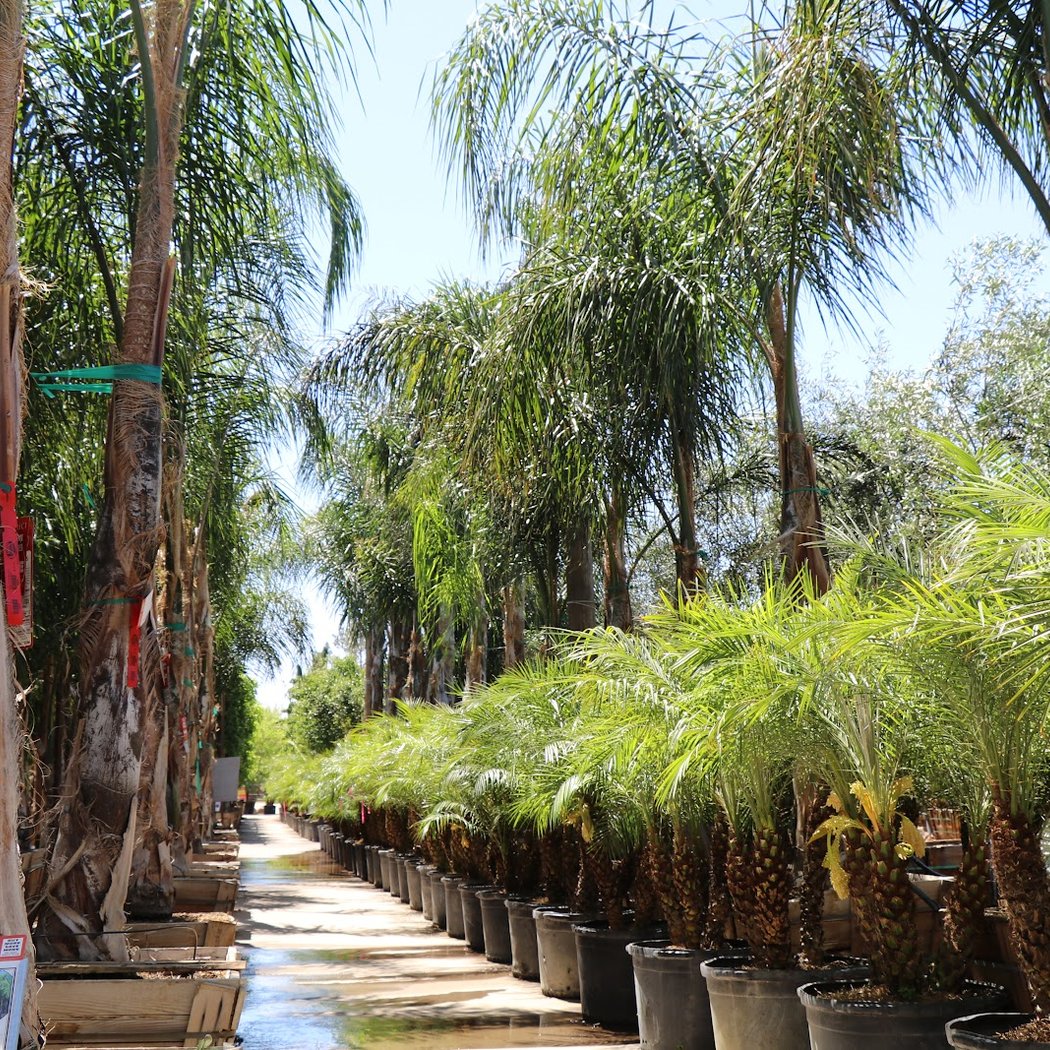 Moon Valley Nurseries 1