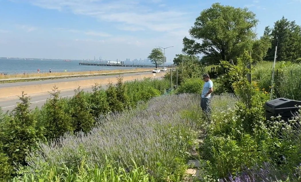Narrows Botanical Gardens 2