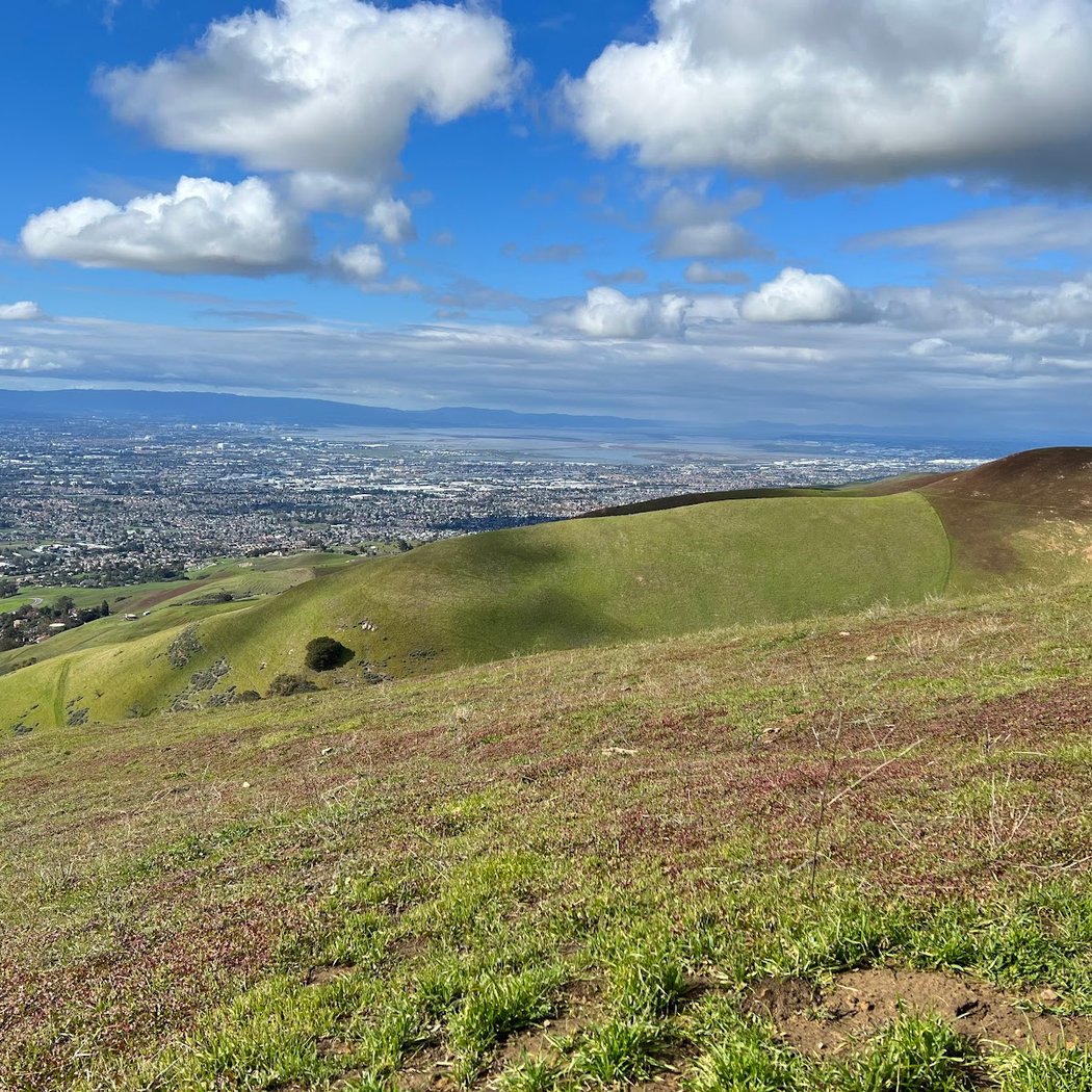 Boccardo Loop Trail 2