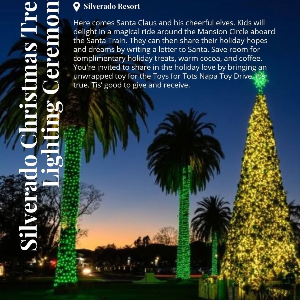 Christmas Tree Lighting Ceremony 1