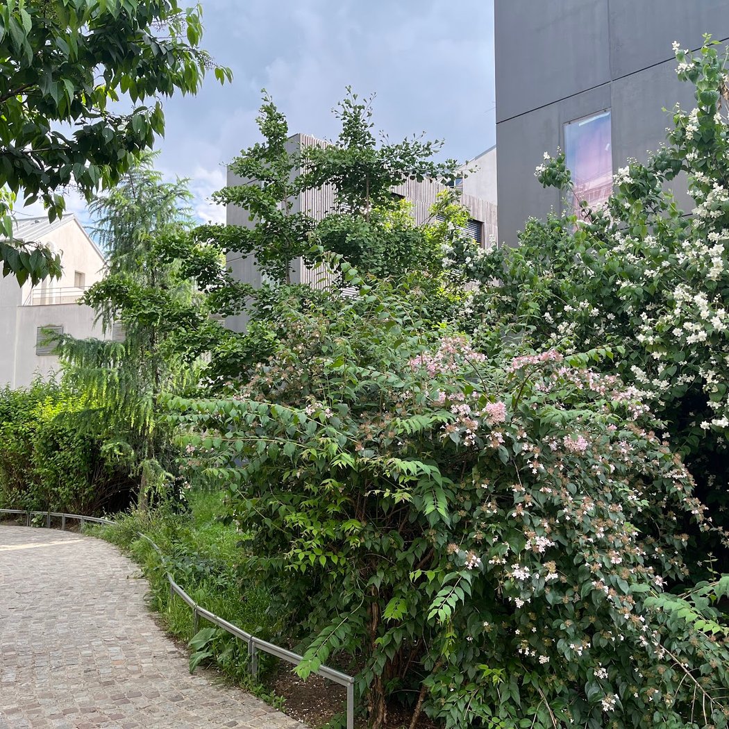 Vitaly Garden 1