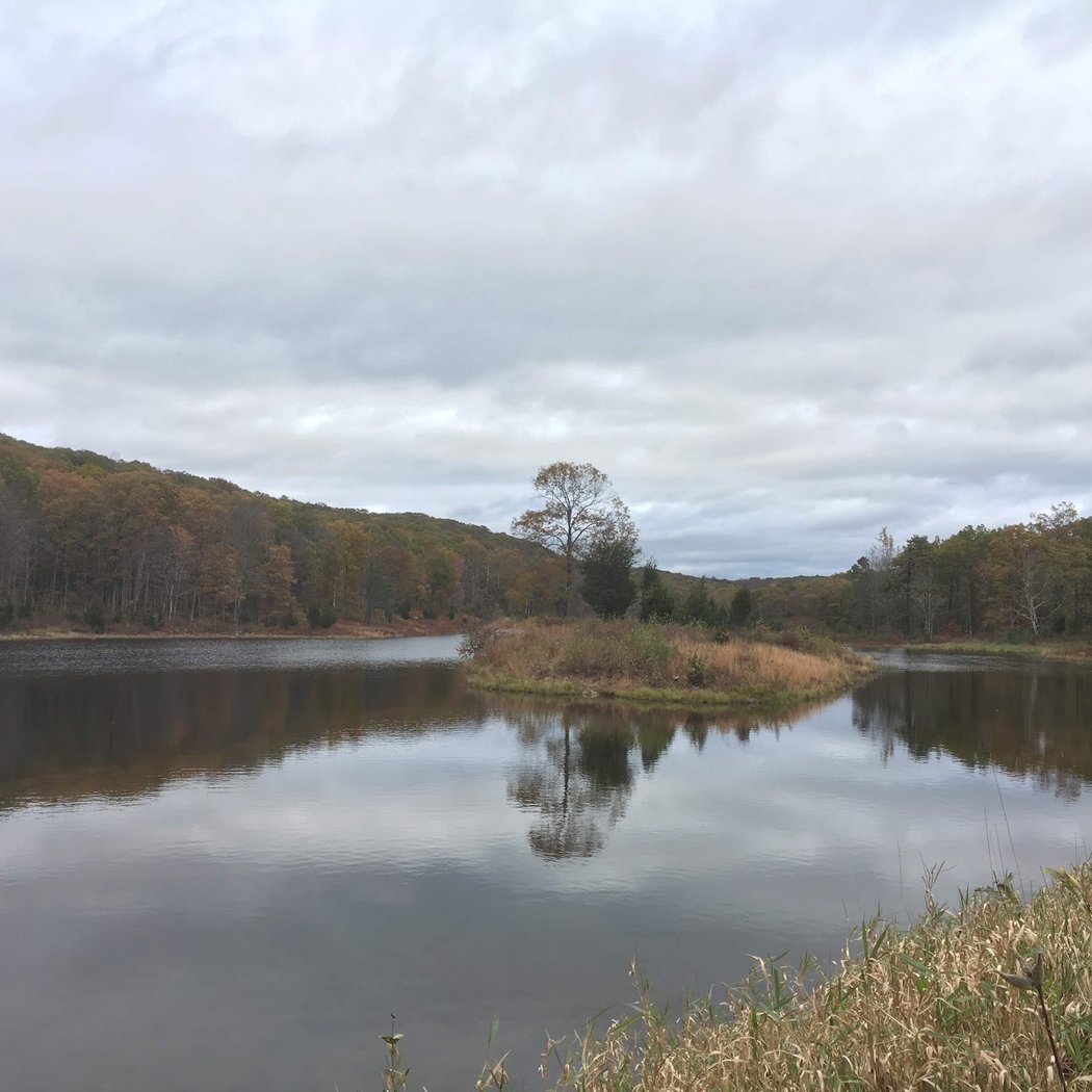 Kittatinny Mountain 3