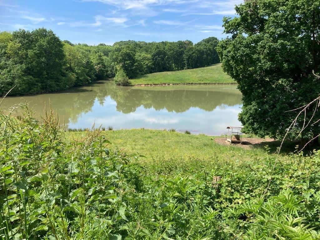 Parc Peloste 3