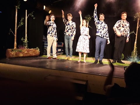 Les Shows Perchés - Spectacle d'improvisation 1