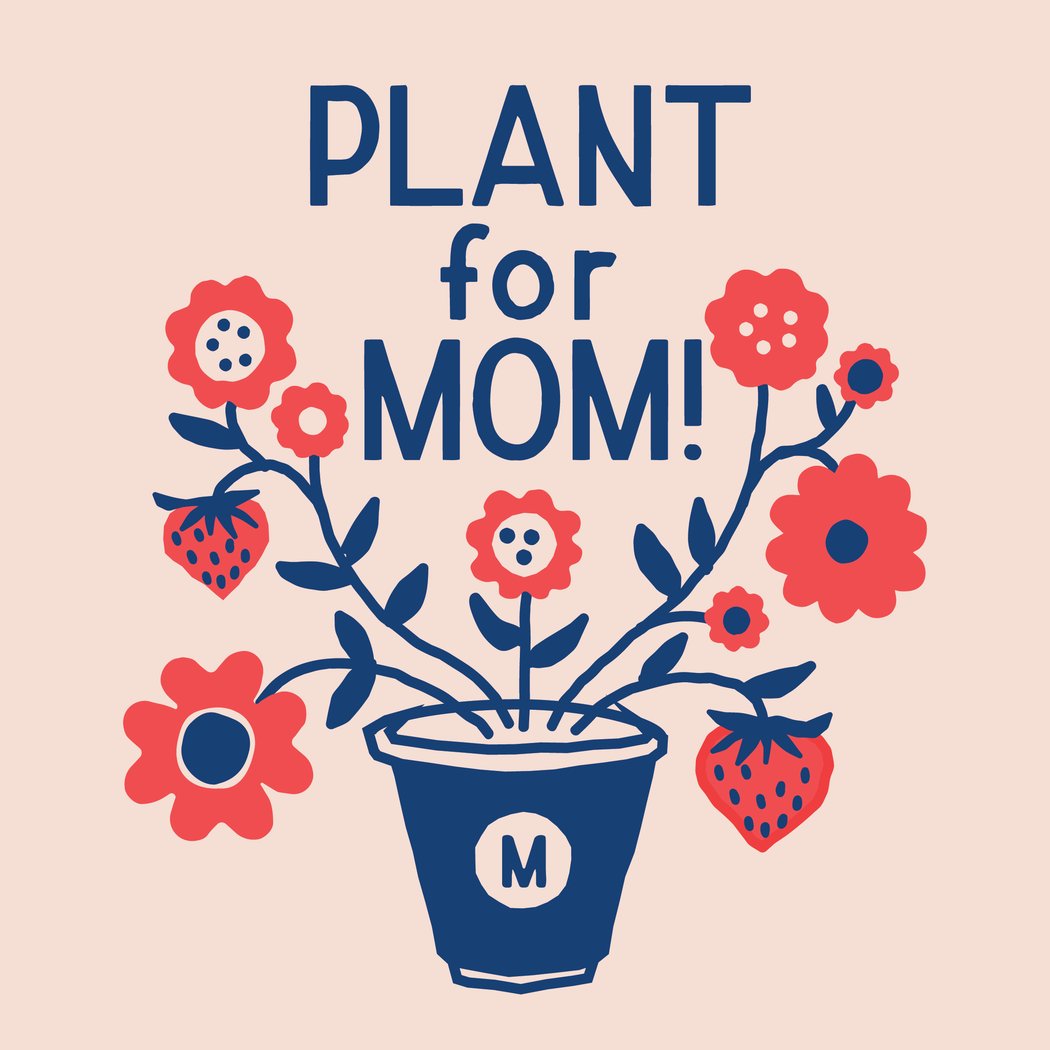 Mother's Day at Marin Country Mart 1