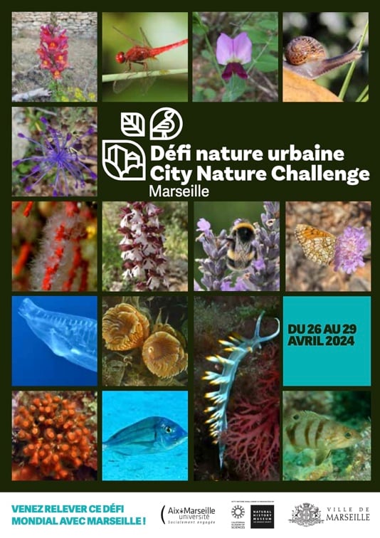 CITY NATURE CHALLENGE Journée Portes Ouvertes 1