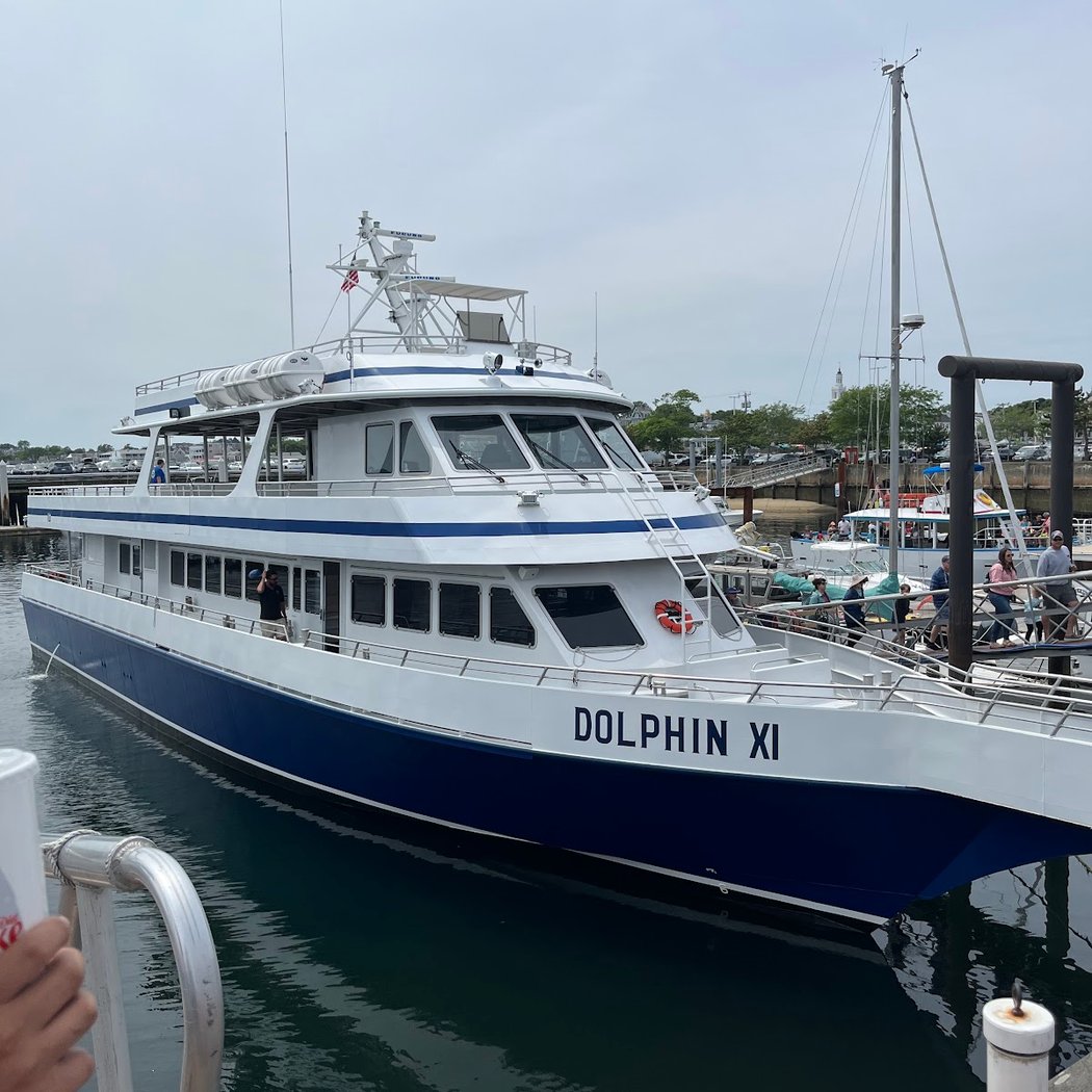 Dolphin Fleet Whale Watch 2