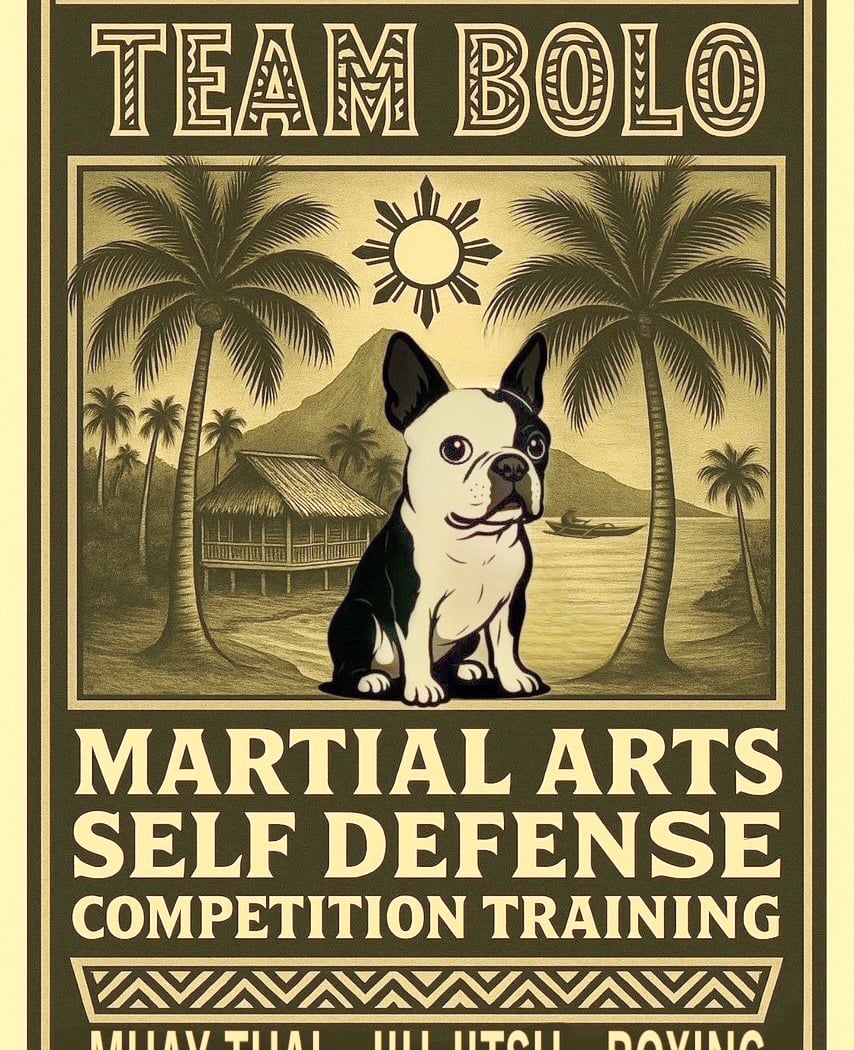 Team Bolo Martial Arts and Self Defense 1