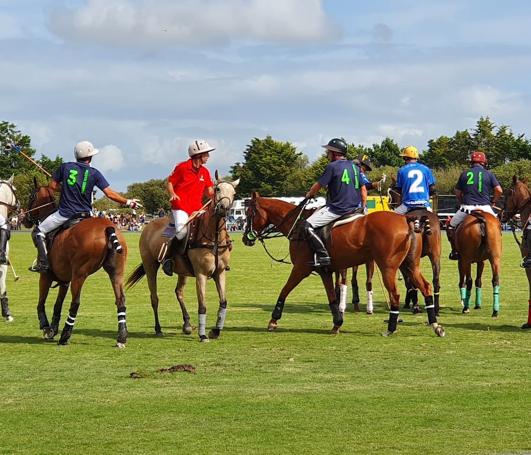 Sarl Congor Polo Club 2