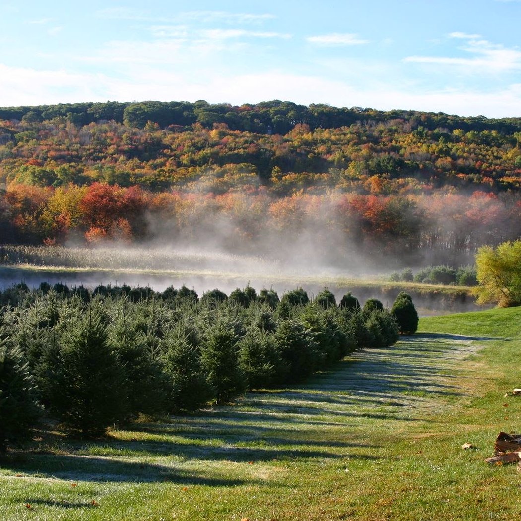 Angevine Farm - Pumpkin Patch & Harvest Barn 1