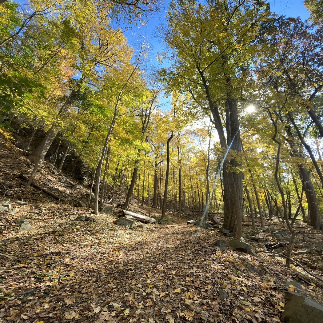 Buttermilk Falls County Park 1