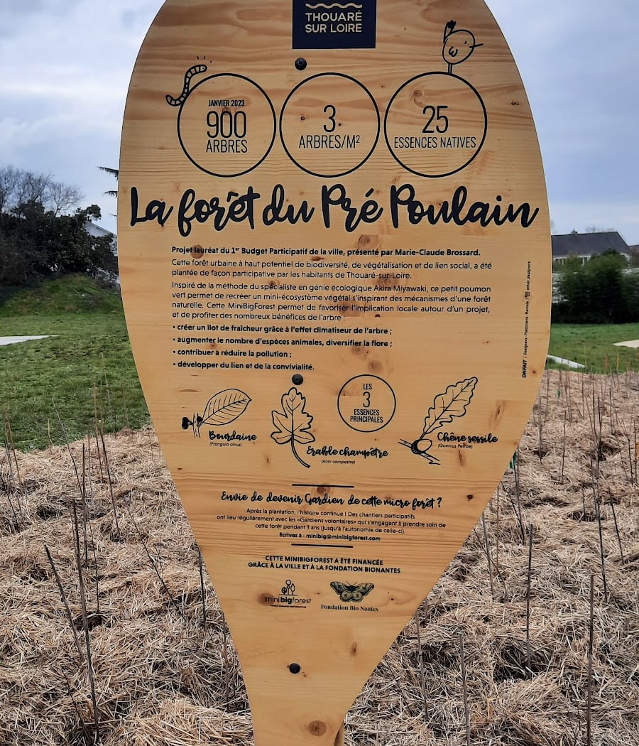 La forêt du Pré Poulain 3