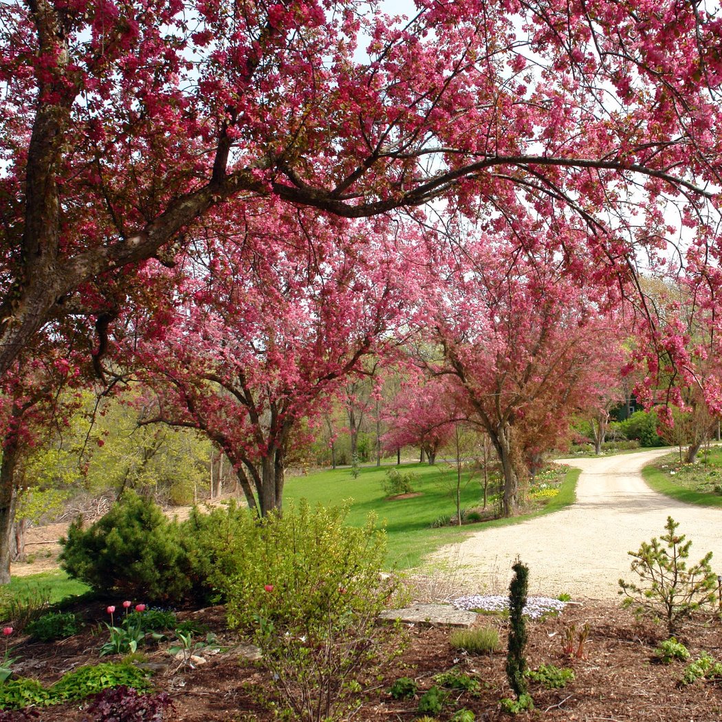 Meditation, Silent Walking, and Personal Introspection 2