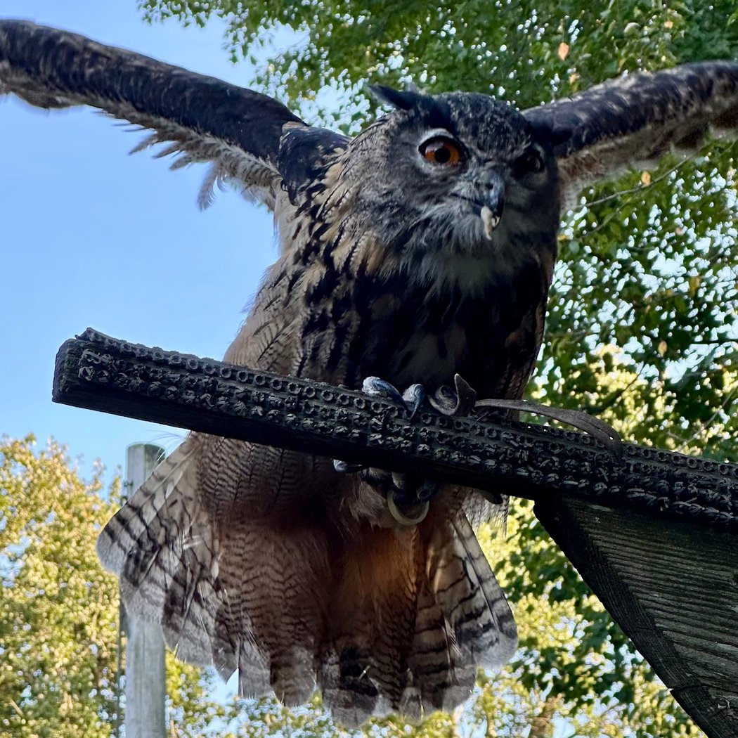 New York Renaissance Faire 1