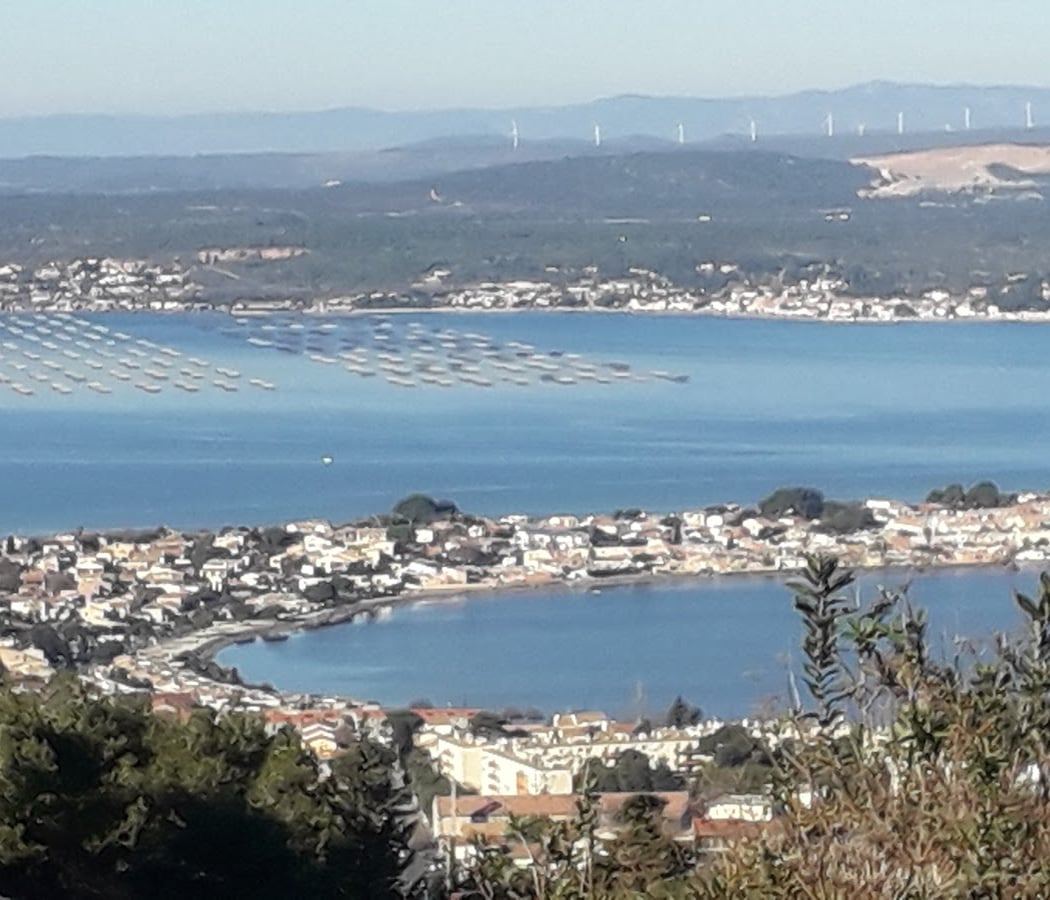 Étang de Thau 2