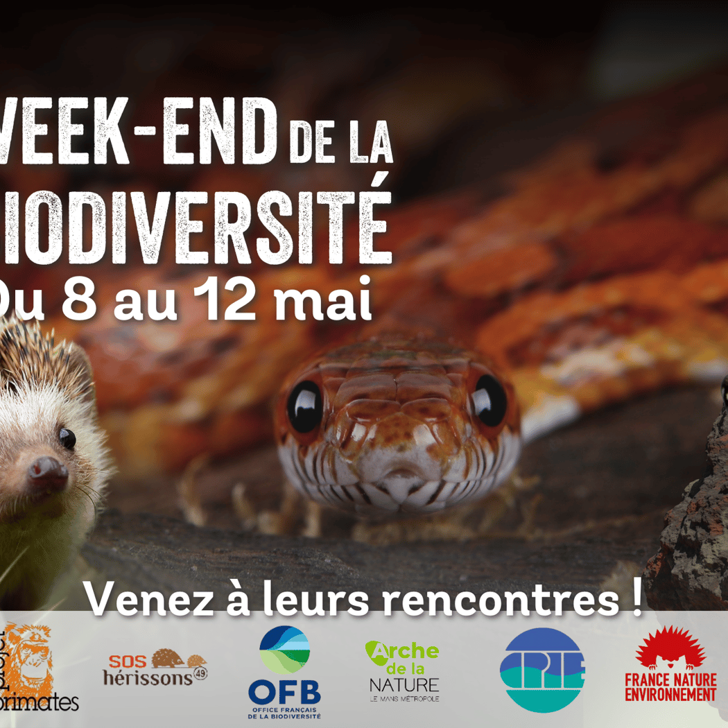 Week-end de la biodiversité 1