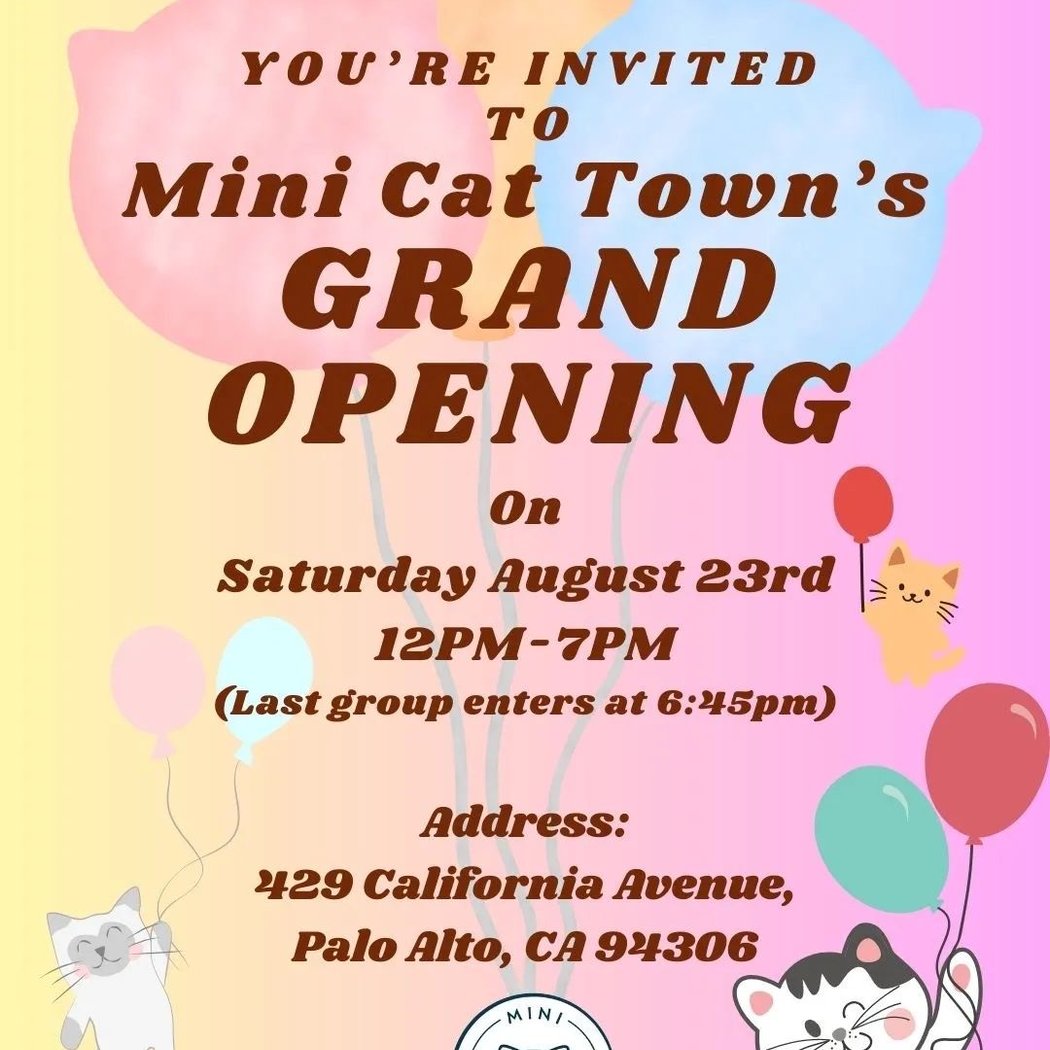Mini Cat Town 1