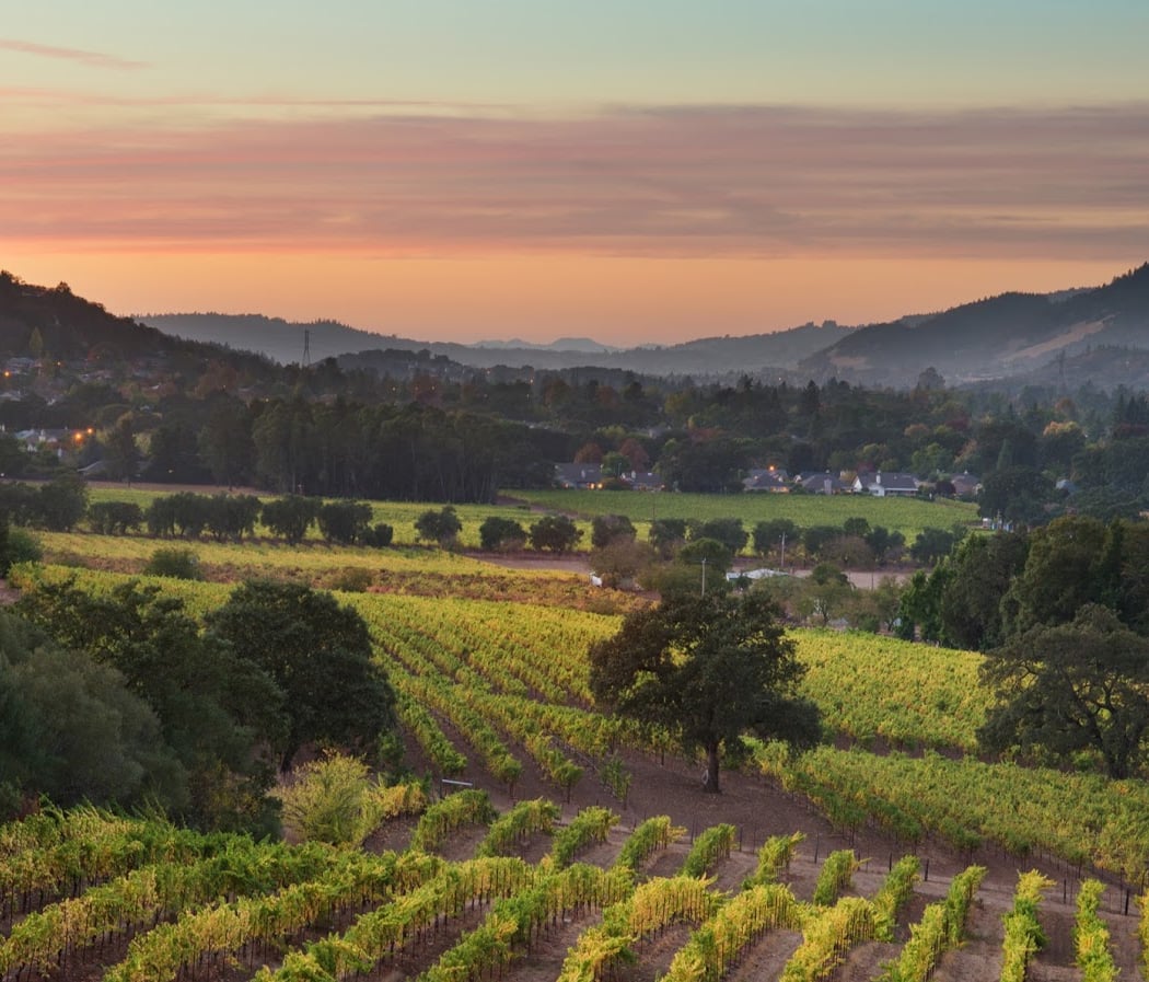 Celebrate the Season at Landmark Vineyards 3