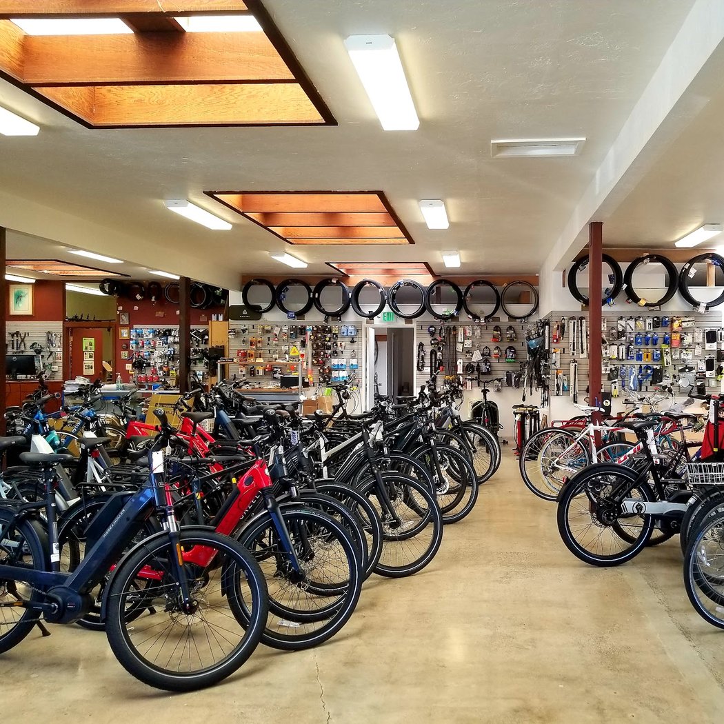Blue Heron Bikes 3