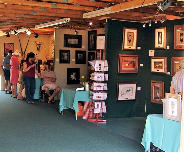 Buckhorn Festival of the Arts 3