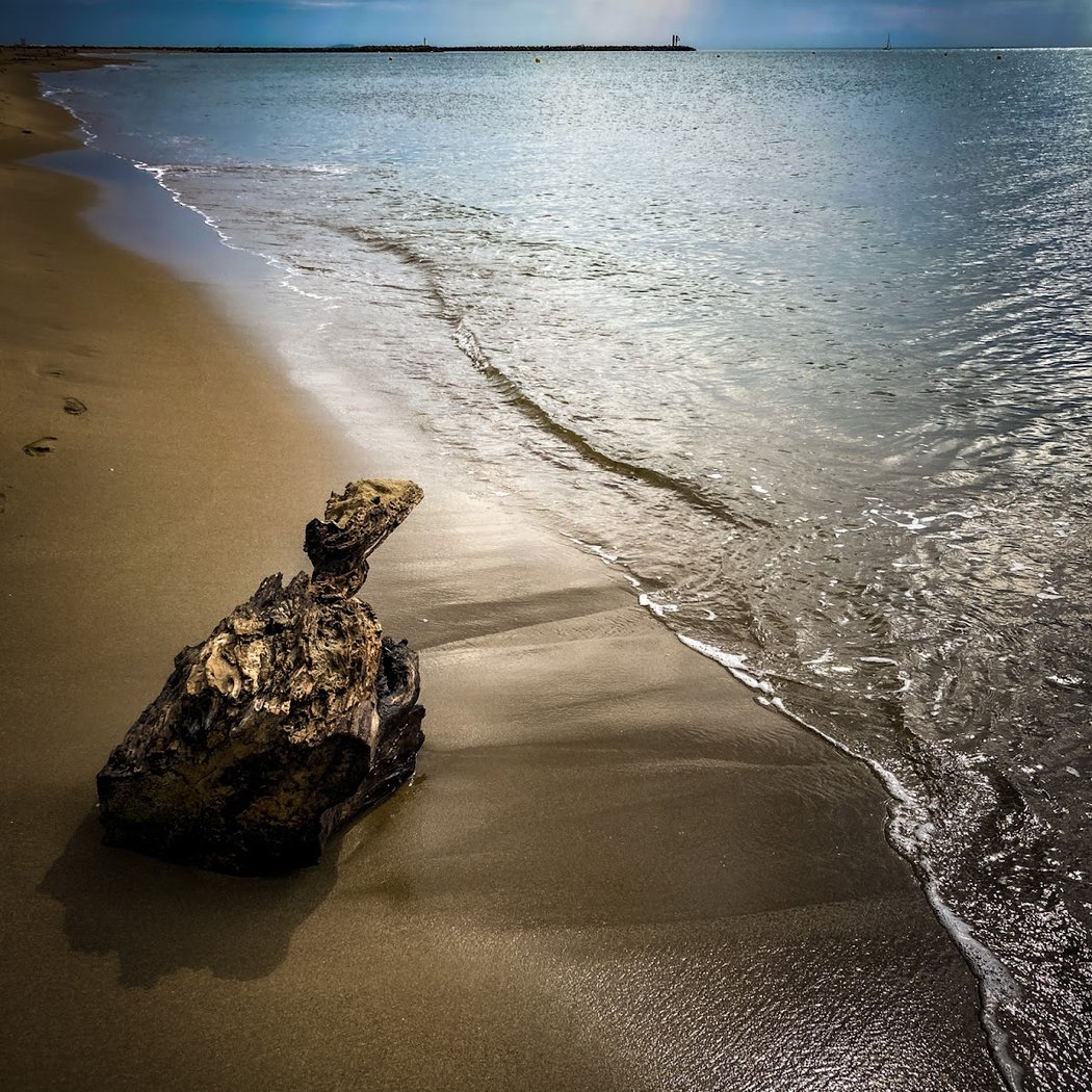 Plage cabane Fleury 1