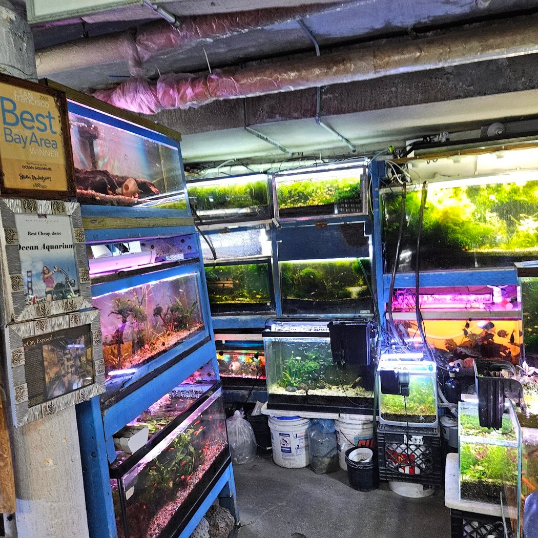 Ocean Aquarium 3