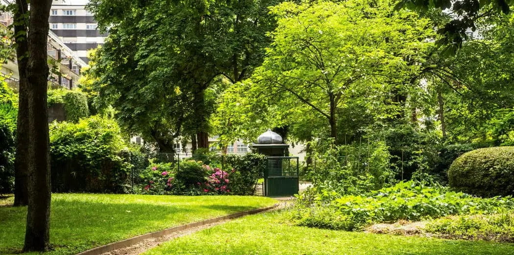 Square Colbert 1