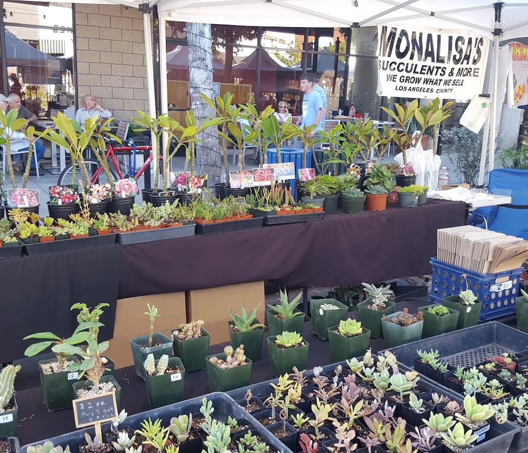 Montrose Farmers Market 3