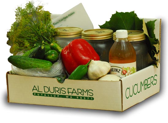 Duris Cucumber Farm 1