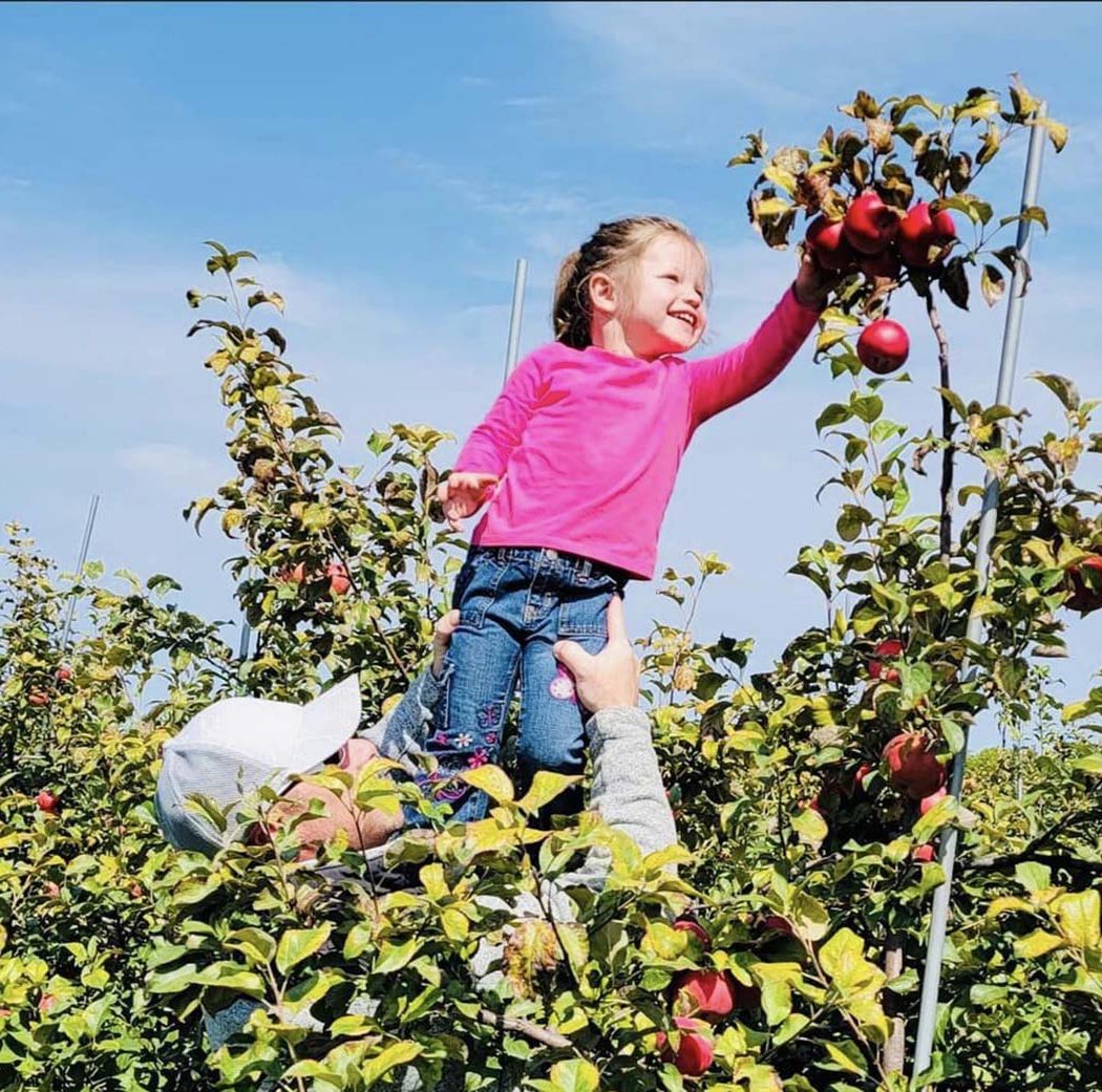 LuceLine Orchard Fall Fun 1