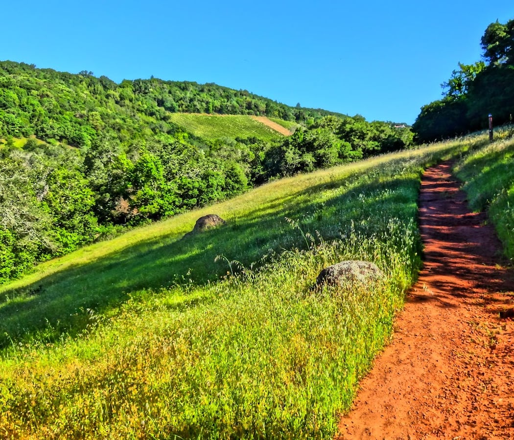 Sonoma Overlook Trail 1