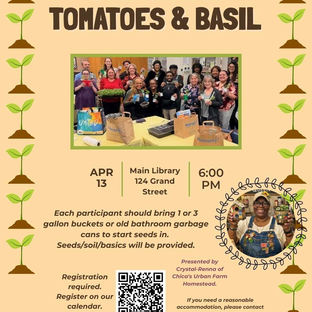 UpCycling: Tomatoes and Basil with Chica's Urban Farm Homestead 1