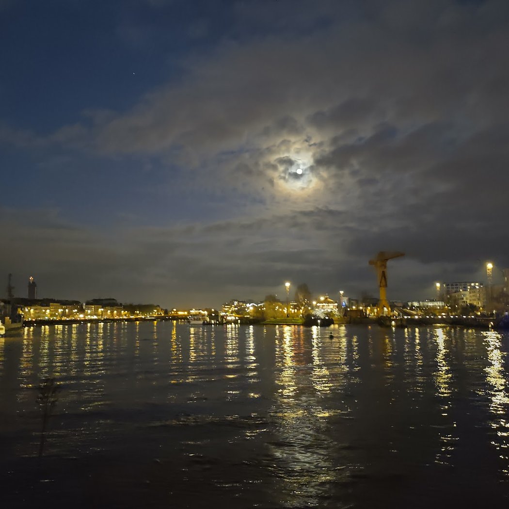 La grue noire 1