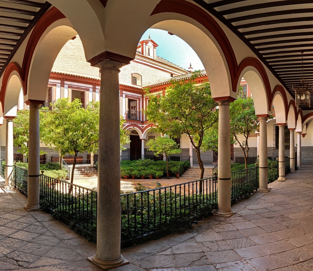 Fundación Focus 2