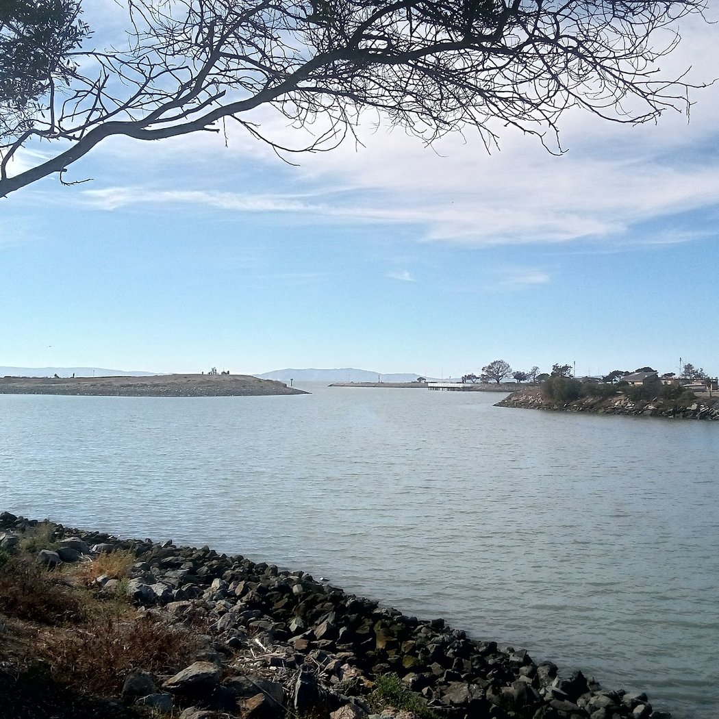 San Leandro Marina - to walk 3