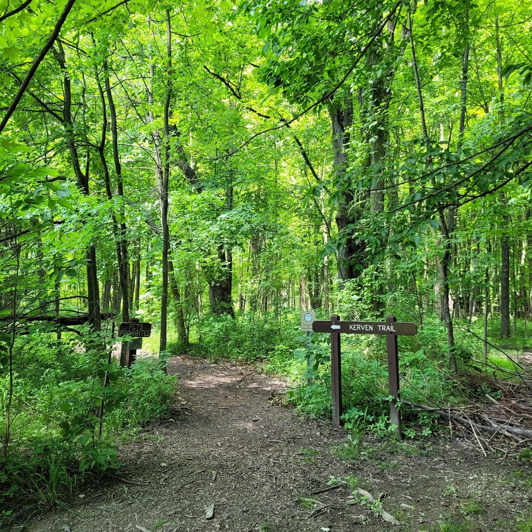 Mentor Marsh Guided Nature Hike: Wetland Wanderings 3
