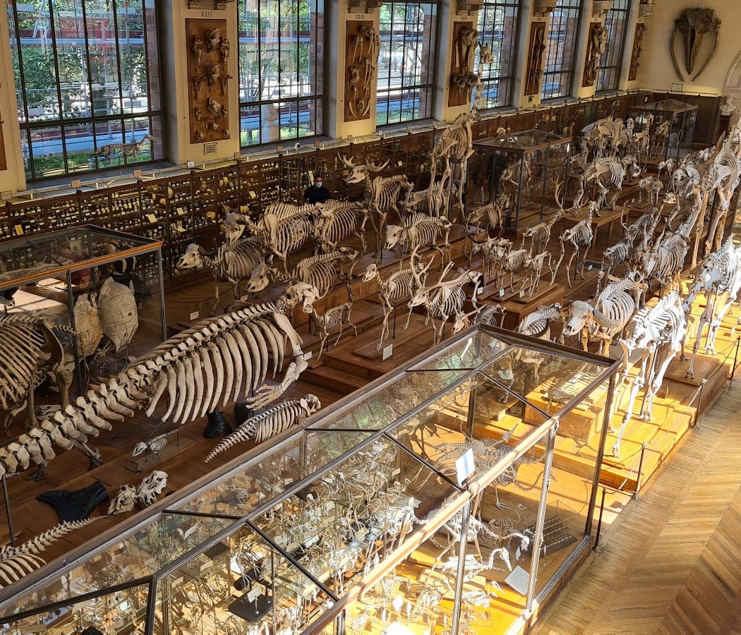 Trois regards sur le Muséum national d'Histoire naturelle 3