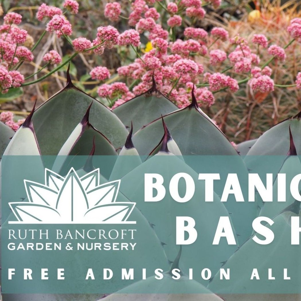 Botanical Bash 1