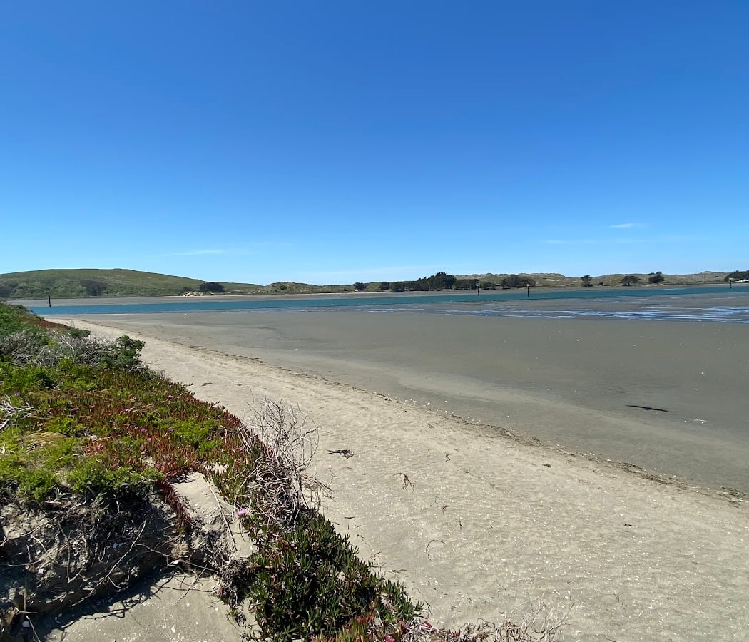 Volunteer Workday with California Native Plant Society 3