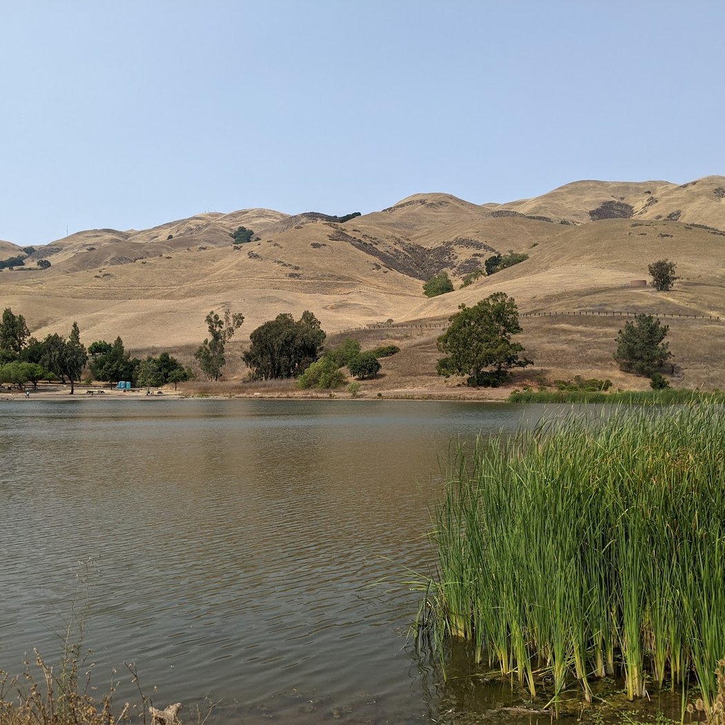 Sandy Wool Lake 2