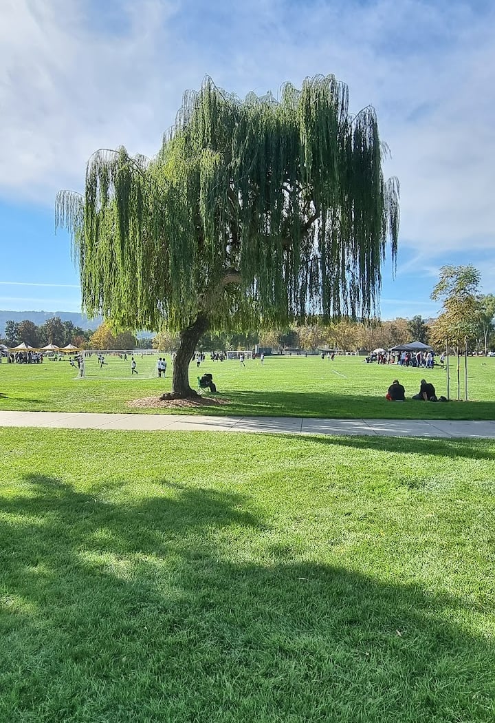 Ken Mercer Sports Park 1